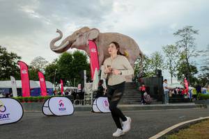 BIB: 
                            <button type="button" onclick="openModal(26528636)" class="btn btn-primary btn-sm float-right btn-popup" data-toggle="modal" data-target=".modal-high-quality">
                        <i class="fas fa-shopping-cart"></i> Add to Cart
                    </button>
                                            <button type="button" onclick="isThisMe(26528636, true)" class="btn btn-success btn-sm float-right btn-popup btn-isme hidden" data-toggle="tooltip" data-placement="bottom" title="นี่คือรูปของคุณใช่ไหม คลิกที่นี่เพื่อเอาเข้าอัลบั้ม">
                        <i class="fas fa-plus"></i> Add to album
                    </button>
                    <button type="button" onclick="isThisMe(26528636, false)" class="btn btn-warning btn-sm float-right btn-popup btn-isnotme hidden">
                        <i class="fas fa-ban"></i> Remove from album
                    </button>